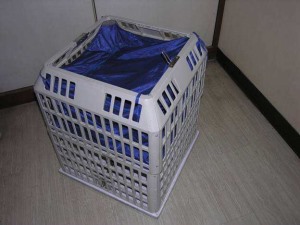 更衣小黄鸭黄色饮件 更衣小黄鸭黄色饮件