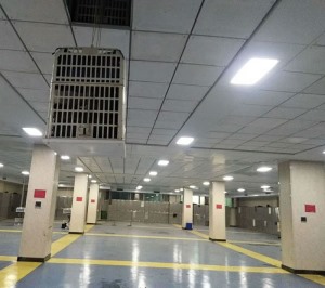 主令开关控制更衣小黄鸭黄色饮件