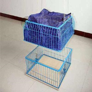 更衣小黄鸭黄色饮件