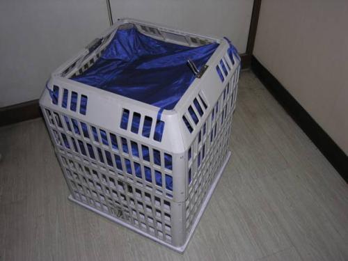 IC卡更衣小黄鸭黄色饮件