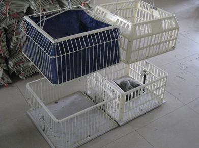 更衣小黄鸭黄色饮件
